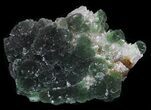 Botryoidal Green Fluorite, Henan Province, China #31463-3